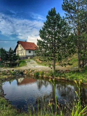 Гостиница Vila Jela Tornik, Златибор